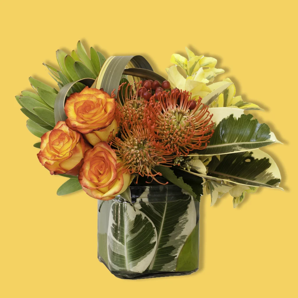 Circus roses with pincushion portea